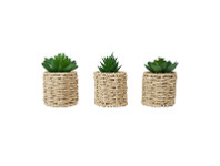 Kmart 3 Artificial Succulents in Rattan Look Pot offer