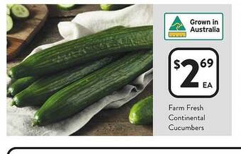Foodworks Farm fresh continental cucumbers offer