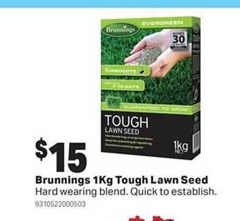 Mitre 10 Brunnings 1kg tough lawn seed offer