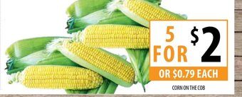 Supabarn Corn On The Cob offer