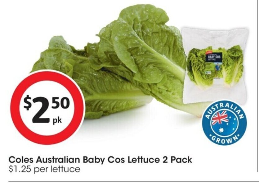 Coles Australian Baby Cos Lettuce 2 pack offer at Coles