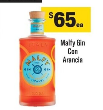 Malfy Gin Con Arancia