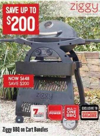 Ziggy bbq on cart bundles