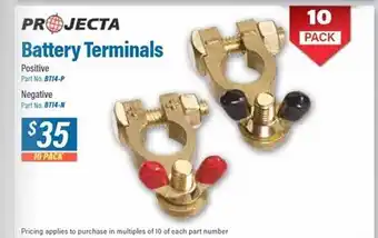 Projecta battery terminals