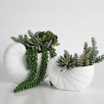 Pillow Talk Coco shell planter by habitat offer