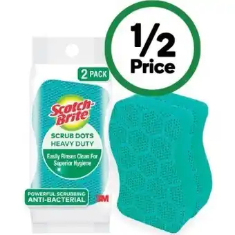 Scotch-brite scrub dots scrub sponges pk 2