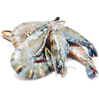 Woolworths Thawed extra large australian green tiger prawns offer