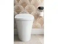 Kohler Veil Integrated Wall Faced Toilet
