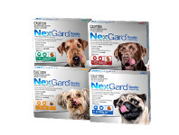 Just For Pets NexGard 6 Packs offer