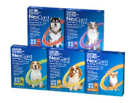 NexGard Spectra 6 Packs