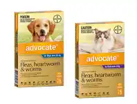 Advocate 6 Packs