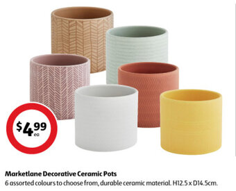 Coles Marketlane Decorative Ceramic Pots offer