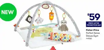 BIG W Fisher-Price Perfect Sense Deluxe Gym offer