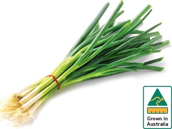 IGA Australian eschallots or spring onions offer