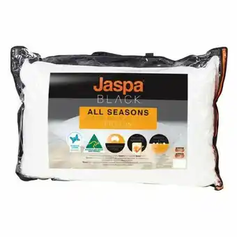 Spotlight Jaspa All Seasons Standard Pillow offer