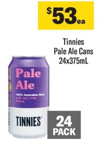 Coles Tinnies Pale Ale Cans 24x375mL offer