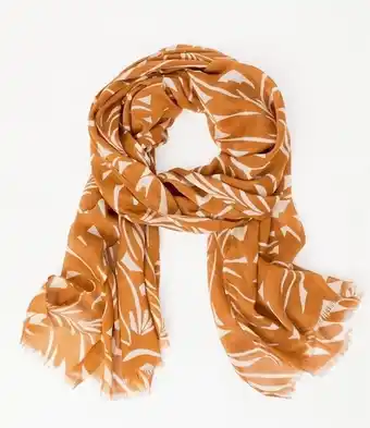Myer Piper modal blend scarf in orange offer