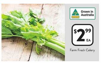 Foodworks Farm fresh celery offer
