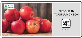 Foodworks Gala apples offer