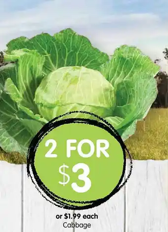 Spudshed Each cabbage offer