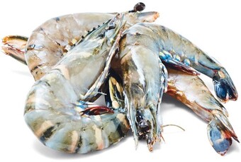 Woolworths Thawed extra large australian green tiger prawns offer