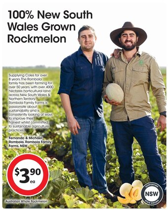 Australian Whole Rockmelon