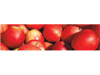 Foodworks Gala Apples offer