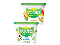 Foodworks Vaalia Yoghurt 900g offer
