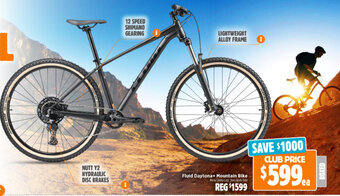Anaconda Fluid Daytona + Mountain Bike offer