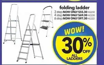 Cheap as Chips Folding ladder offer