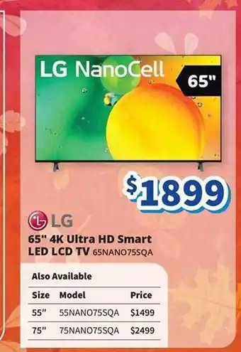 Bi-Rite Lg 65 offer