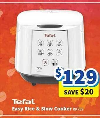 Tefal easy rice & slow cooker