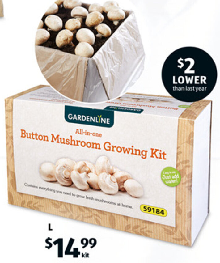 Button Mushroom Growing Kit offer at ALDI