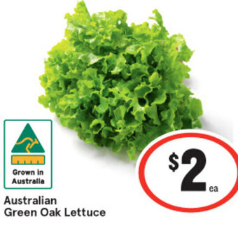 IGA Australian Green Oak Lettuce offer