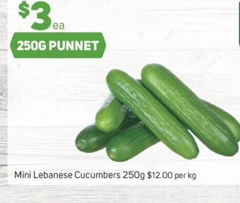 Foodland Mini lebanese cucumbers offer