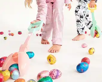 Kmart Egg hunt grabber - assorted offer