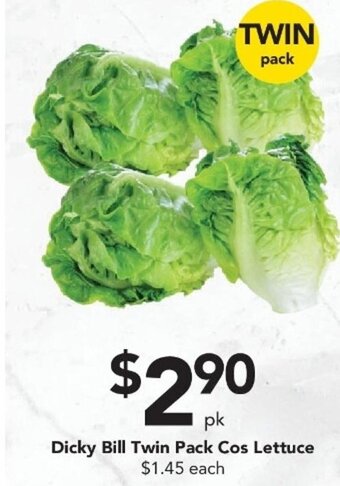 Dicky Bill Twin Pack Cos Lettuce