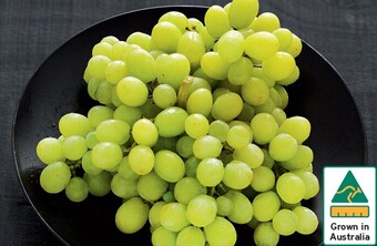 Australian white seedless grapes