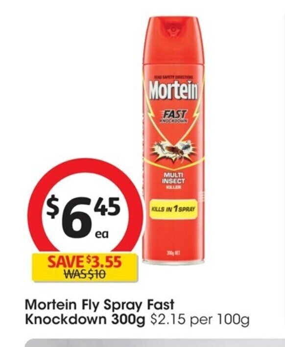 Mortein Fly Spray Fast Knockdown 300g offer at Coles