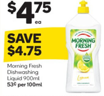Woolworths Morning Fresh Dishwashing Liquid 900ml offer