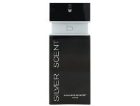 ePharmacy Silver Scent 100ml EDT offer