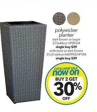 Cheap as Chips Polywicker planter offer