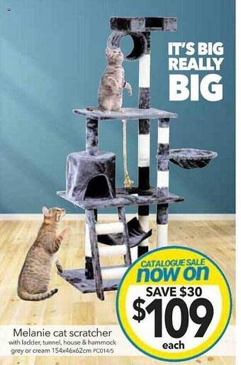 Melanie cat scratcher