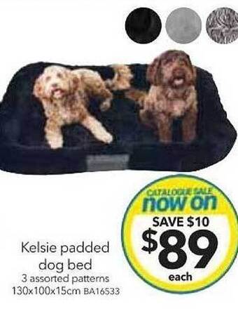 Cheap as Chips Kelsie padded dog bed offer