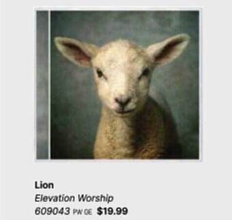 Lion elevation worship