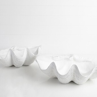 Pillow Talk Giant clam shell by m.u.s.e. offer