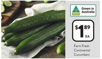 Foodworks Farm fresh continental cucumbers offer