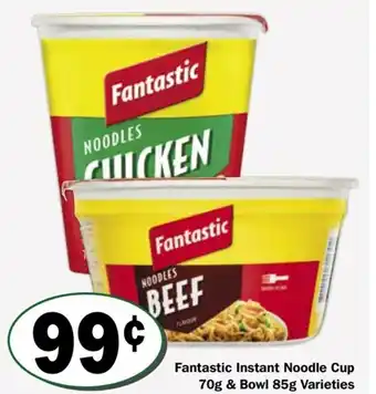 Friendly Grocer Fantastic Instant Noodle Cup offer