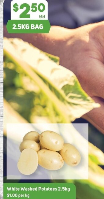 Foodland White Washed Potatoes 2.5kg offer