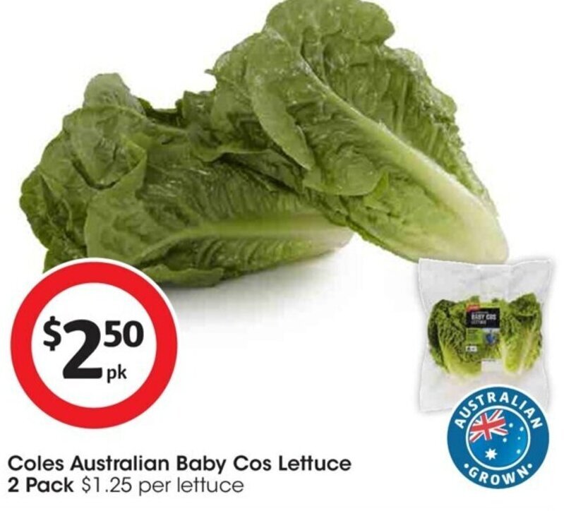 Coles Australian Baby Cos Lettuce 2 Pack offer at Coles